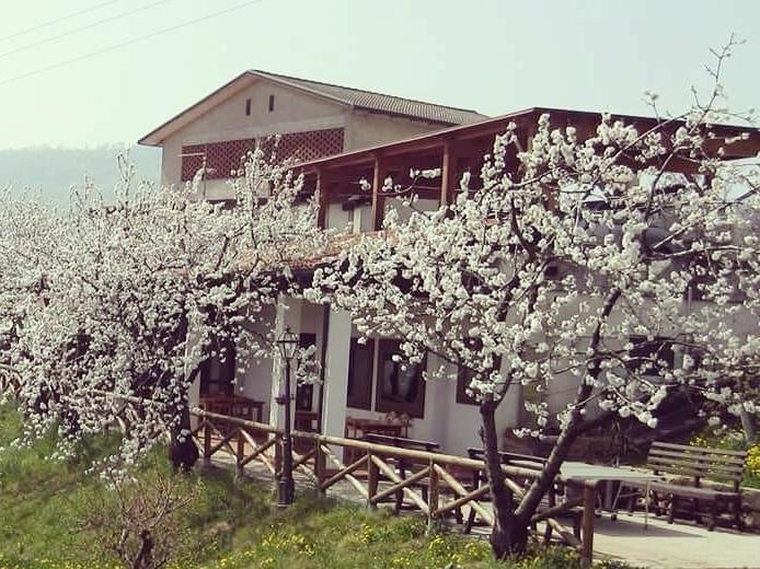 Agriturismo Al Ciliegio Villa Маростика Екстериор снимка